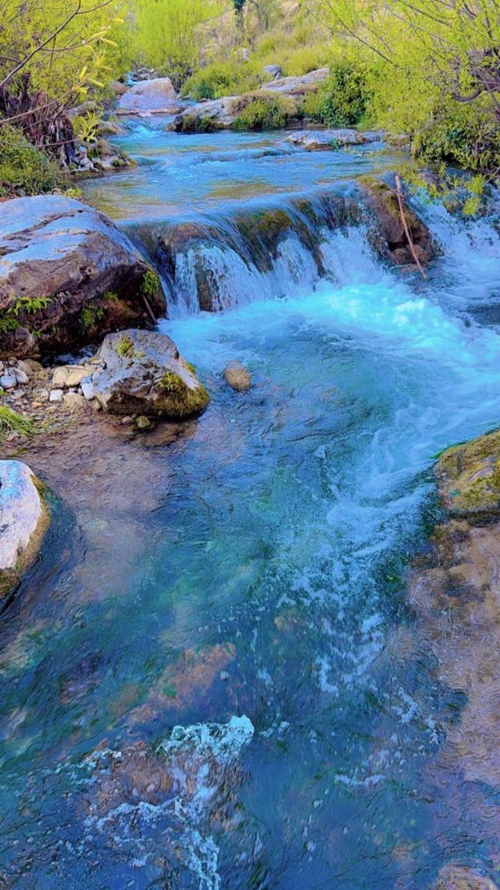 Rivulet Resort & Camping Массури Экстерьер фото